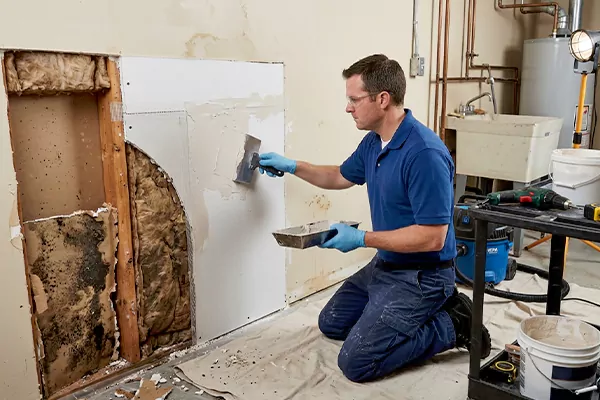 Mold and Drywall Repair Magna