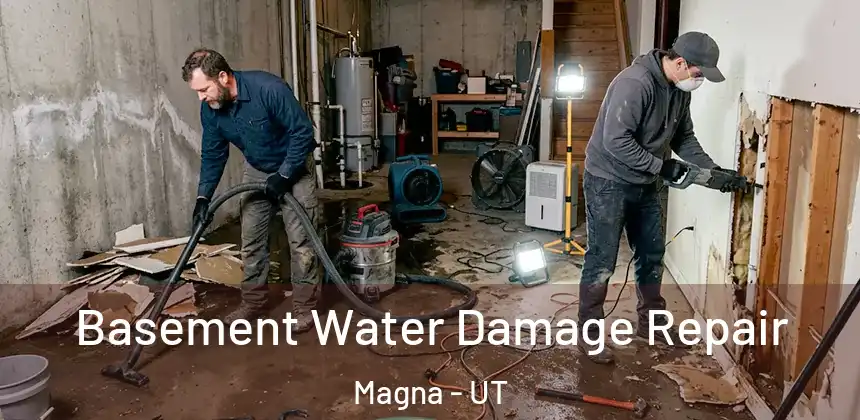 Basement Water Damage Repair Magna - UT