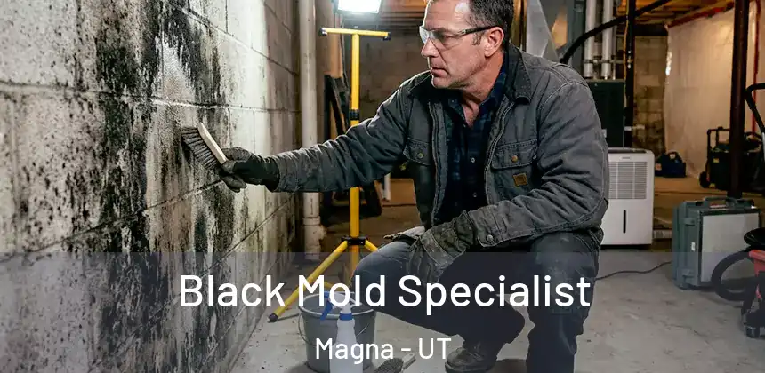  Black Mold Specialist Magna - UT