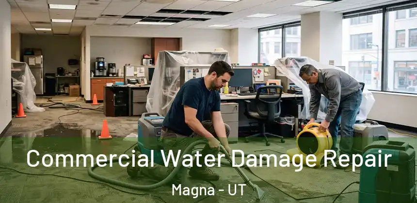  Commercial Water Damage Repair Magna - UT