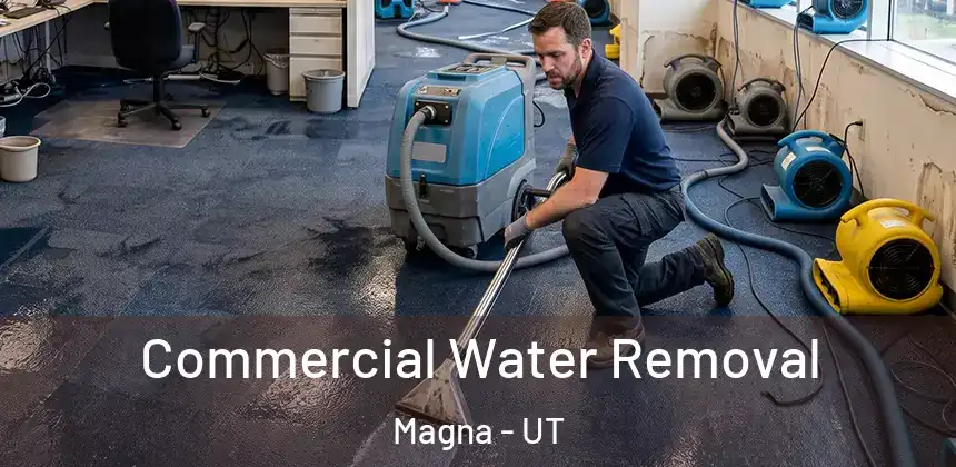 Commercial Water Removal Magna - UT