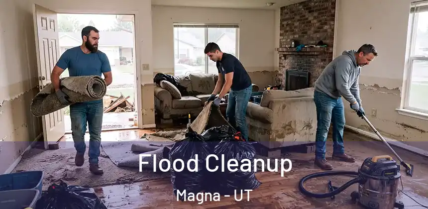  Flood Cleanup Magna - UT