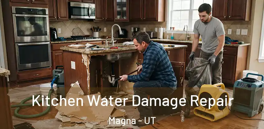  Kitchen Water Damage Repair Magna - UT