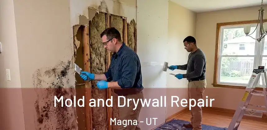  Mold and Drywall Repair Magna - UT