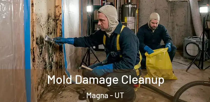 Mold Damage Cleanup Magna - UT