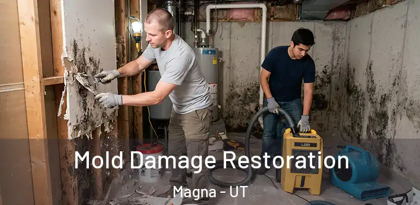  Mold Damage Restoration Magna - UT
