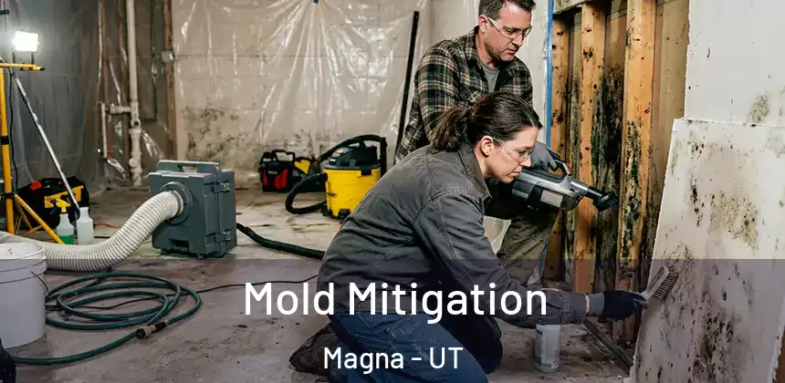 Mold Mitigation Magna - UT