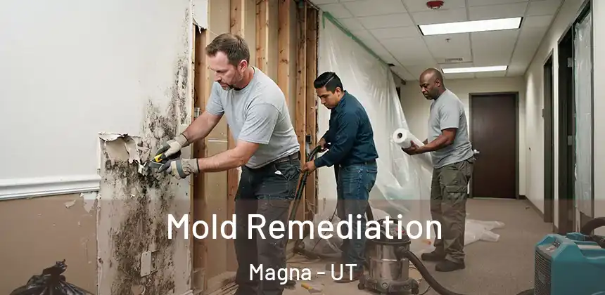  Mold Remediation Magna - UT