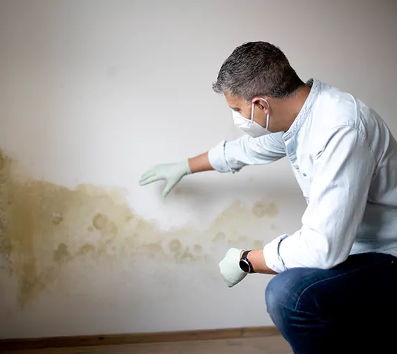 Mold Removal Service in Magna, UT