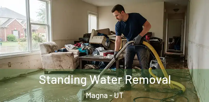 Standing Water Removal Magna - UT