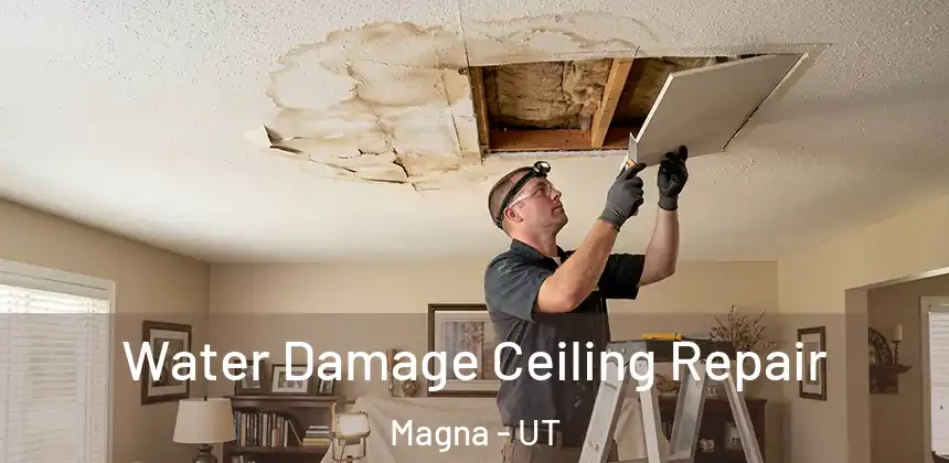 Water Damage Ceiling Repair Magna - UT
