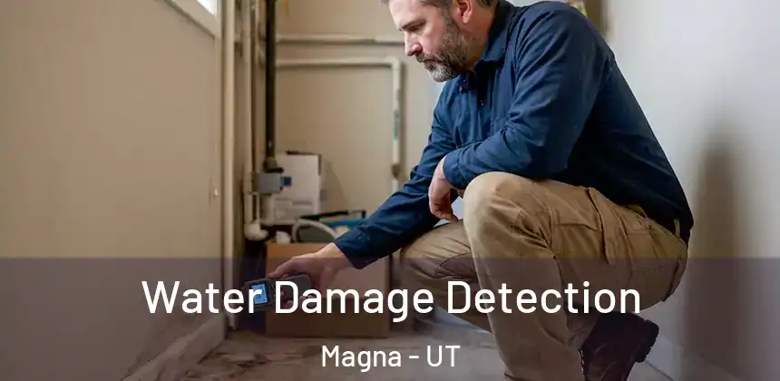 Water Damage Detection Magna - UT
