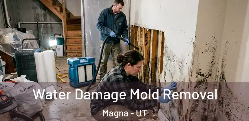Water Damage Mold Removal Magna - UT