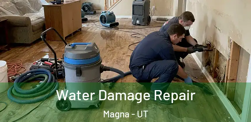 Water Damage Repair Magna - UT