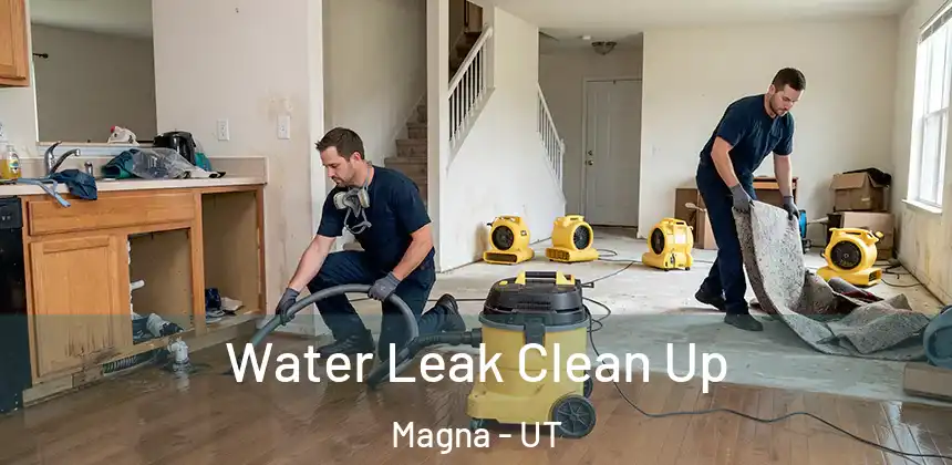  Water Leak Clean Up Magna - UT