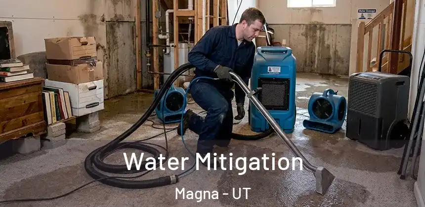  Water Mitigation Magna - UT