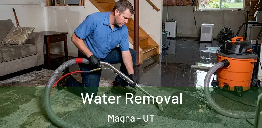  Water Removal Magna - UT