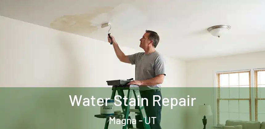 Water Stain Repair Magna - UT